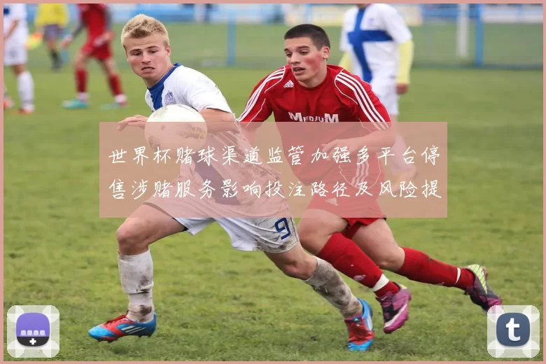 世界杯赌球渠道监管加强多平台停售涉赌服务影响投注路径及风险提示