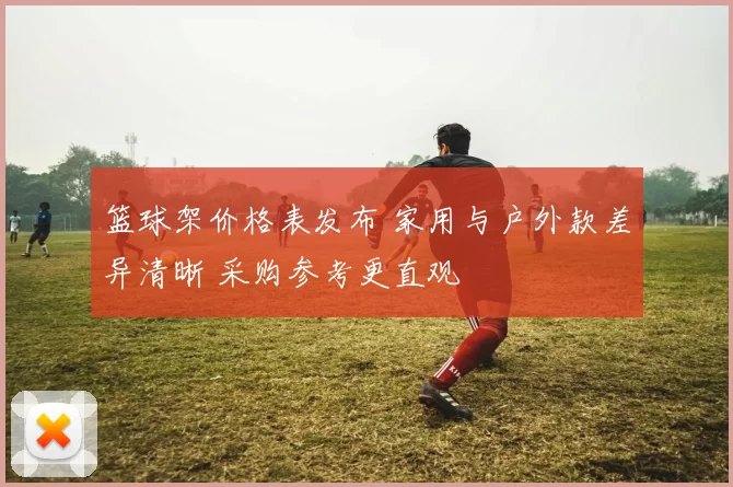 篮球架价格表发布 家用与户外款差异清晰 采购参考更直观