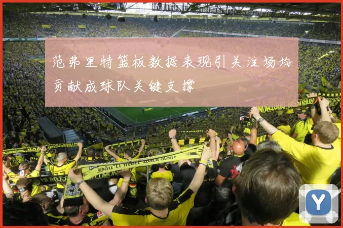 范弗里特篮板数据表现引关注场均贡献成球队关键支撑