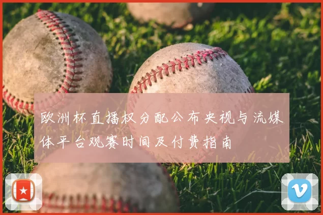 欧洲杯直播权分配公布央视与流媒体平台观赛时间及付费指南