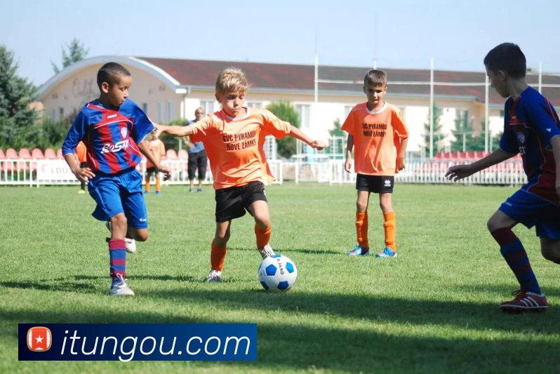 多媒体互动体验